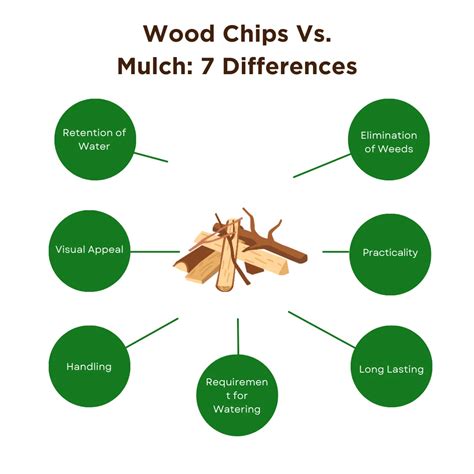 Wood Chips Vs. Mulch: A Comprehensive Comparison