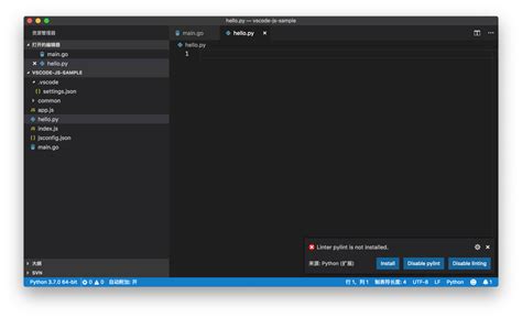 Python Integration with vs Code 的图像结果