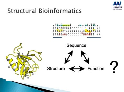 Image result for Bioinformatics Explained