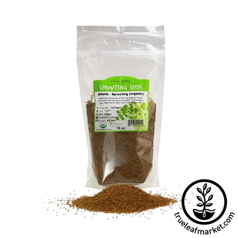 Organic Alfalfa Sprouts Seeds | Alfalfa Sprouting Seed by Handy Pantry