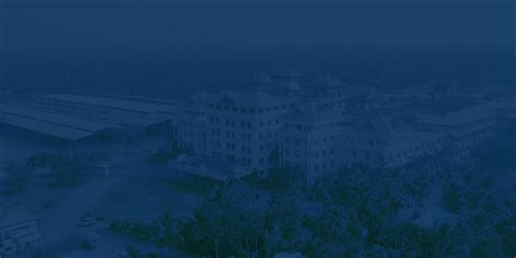 Online MBA in Finance: Your Path to Success