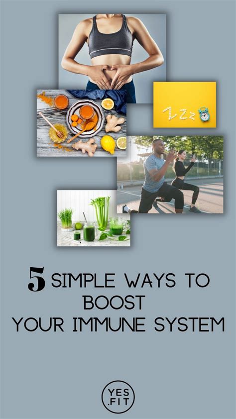 immune system simple definition