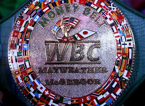 Automated Boxing Scoring System 的图像结果