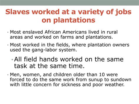 Task System 的图像结果