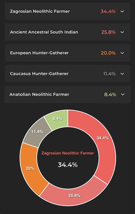 Guess my ethnicity : r/illustrativeDNA