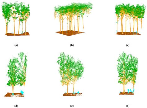 A Deep Learning-Based Method for Extracting Standing Wood Feature ...