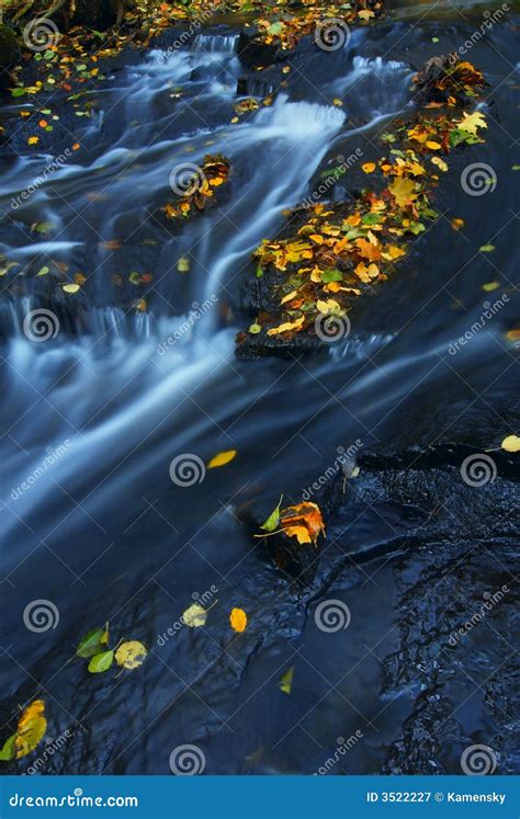 Autumn leaves on stream stock image. Image of floats, floating - 3522227