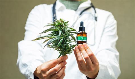 Indiana Marijuana Laws 2025: Complete Legal Guide | Indiana Treatment ...