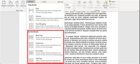How to Insert a Section Break in Microsoft Word