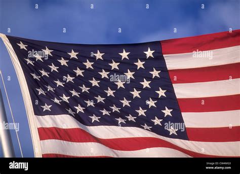 Amrerica National Flag 的图像结果