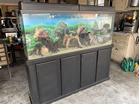 80 gallon aquarium for Sale in Lynwood, CA - OfferUp