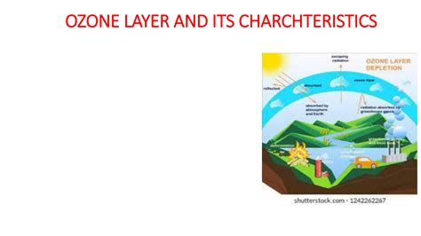 Image result for Ozone Layer Formation