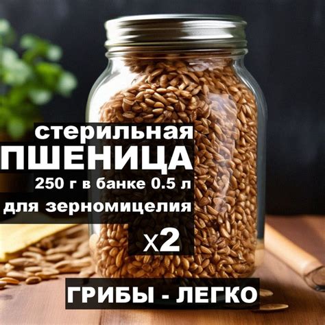 Субстрат для грибов - стерильная пшеница в банках 0,5 л (2 шт ...
