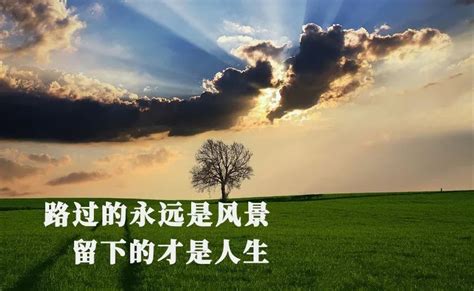 非常经典的句子：路过的是风景，留下的才是人生