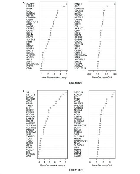 Random Forest Python Gini 的图像结果