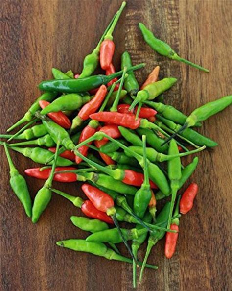 Trothic Gardens African Bird Eye Chilli Hot Thai Pepper or Kanthari ...
