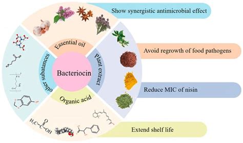 Foods | Special Issue : Potential of Lactic Acid Bacteria Strains for ...