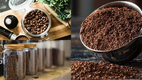 Does Coffee Go Bad? – Alpine Mountain Coffee