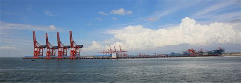 执行会长单位 | 湛江港国际集装箱码头有限公司