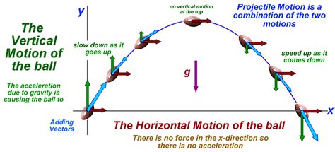 Projectile Motion | Physics Class 11 - NEET PDF Download