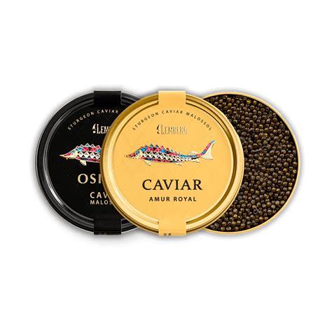 What Fish Does Caviar Come From? Tracing the Origins Back to Sturgeon