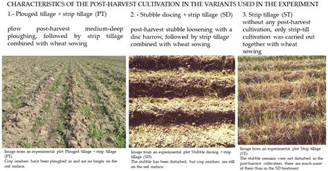 Growth Parameters, Yield and Grain Quality of Different Winter Wheat ...
