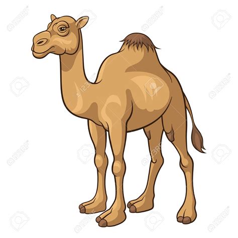 Image result for camel | Camel, Camels art, Camels illustration