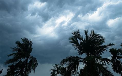 Climate Impact: India's Monsoon Turns Extreme Amidst Minimal Rainfall ...
