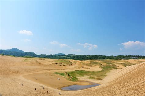鳥取 砂丘 に対する画像結果