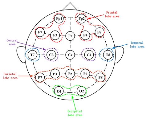 Frontiers | Efficacy Evaluation of Neurofeedback-Based Anxiety Relief