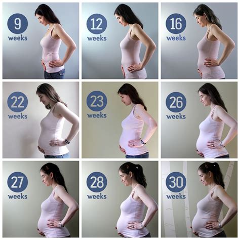 Week By Week Pregnancy Tummy Pics Bump 15 Weeks