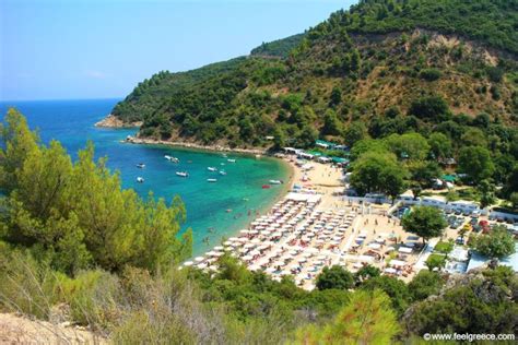 The best beaches of Sithonia