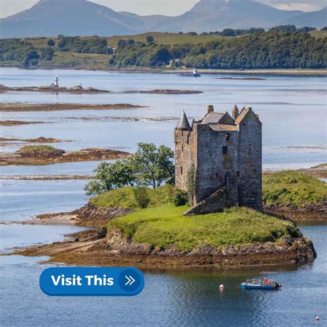 Image result for Monty Python Fort