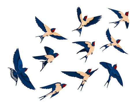 Oiseau volant divers ensemble de collection de vues Troupeau d ...