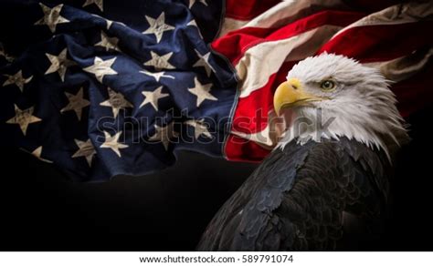 Symbol of America 的图像结果