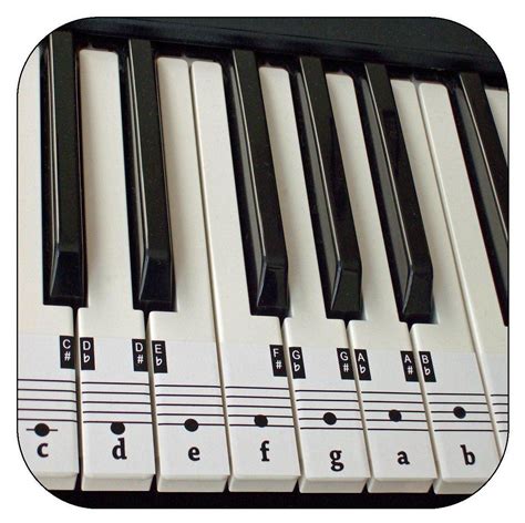 Piano Keyboard Keys Layout