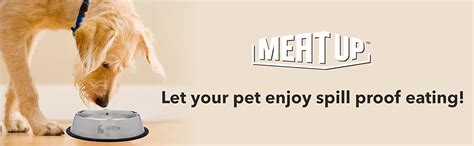 Meat Up Stainless Steel Feeding Bowl For Dog, Medium - 700ml (Buy 1 Get ...