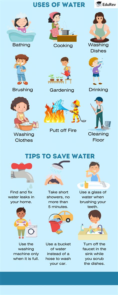 Poster: Water - A Precious Gift - EVS Class 3: The World around us (Our ...
