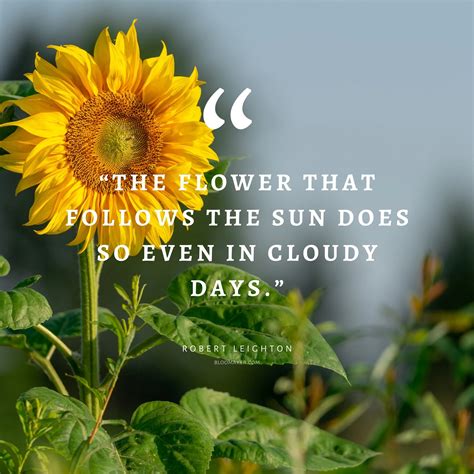 Quotes About Flowers And Life