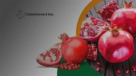 Export Data 的图像结果