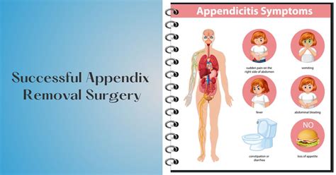 Appendix Removal Surgery 的图像结果
