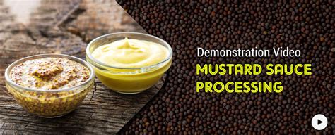 PM Formlisation of Micro Food Processing Enterprises Scheme