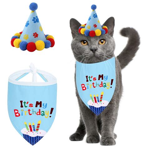 Cats In Birthday Hats