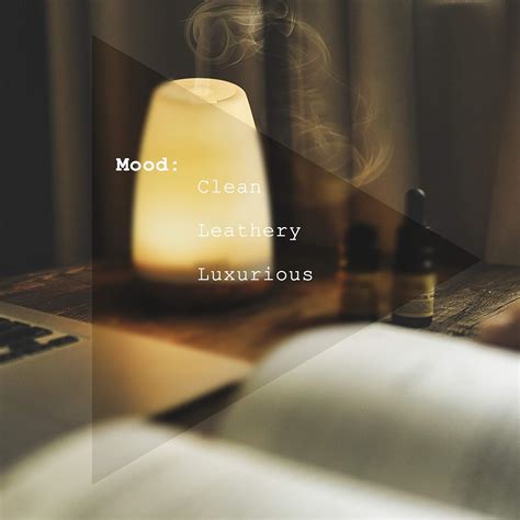 Sesneslabs Oud Diffuser Oil, Niche Scent, Luxury Chinese India | Ubuy