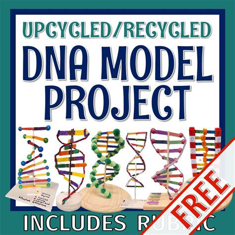 Making DNA Models 的图像结果