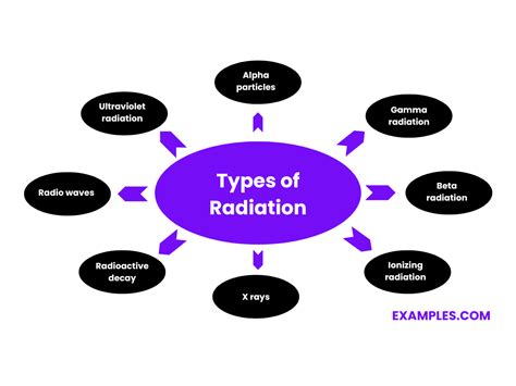 Radiation Example 的图像结果