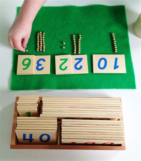 What you need to know about the early childhood montessori math ...