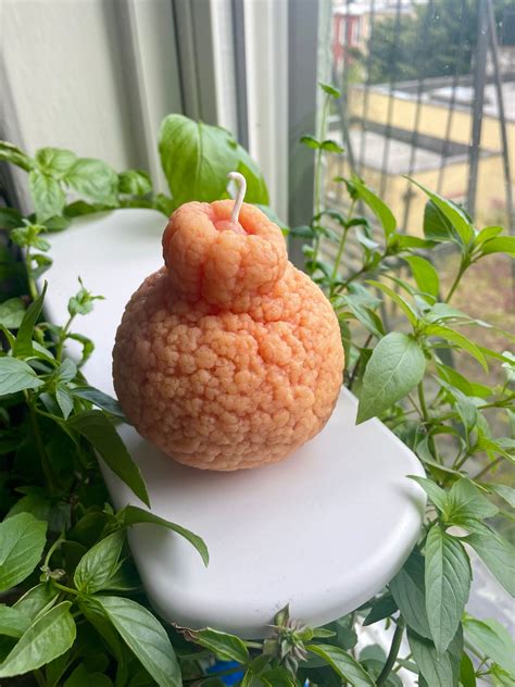 Sumo Orange – Holy Mold