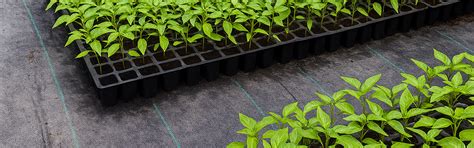 Weed Mat Ground Cover 90 GSM - Permeable PP for Moisture Conservation