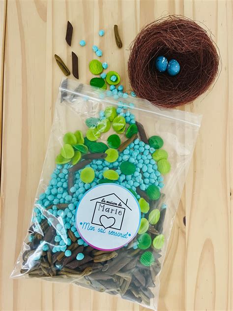 Sensory Filling Bird's Nest Montessori Exploration Imagination Preschool Chickpea - Etsy Canada ...
